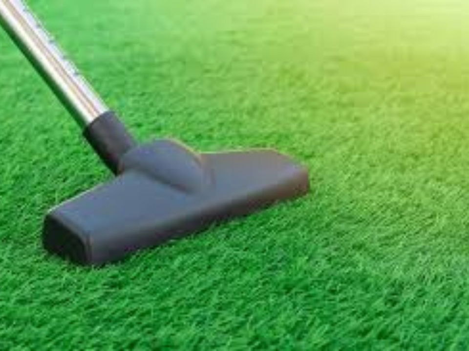 Essential Guide to Artificial Grass Maintenance By Family Grass Team